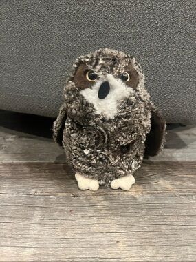 Douglas owl